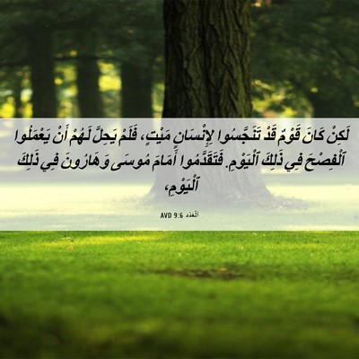 Picture 06 - اَلْعَدَد 9:6 AVD - لَكِنْ كَانَ قَوْمٌ قَدْ - Bible Verse Picture
