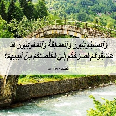 Picture 06 - اَلْقُضَاة 10:12 AVD - وَٱلصِّيدُونِيُّونَ - Bible Verse Picture