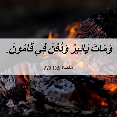 Picture 06 - اَلْقُضَاة 10:5 AVD - وَمَاتَ يَائِيرُ وَدُفِنَ - Bible Verse Picture