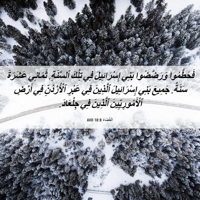 Picture 06 - اَلْقُضَاة 10:8 AVD - فَحَطَّمُوا وَرَضَّضُوا - Bible Verse Picture