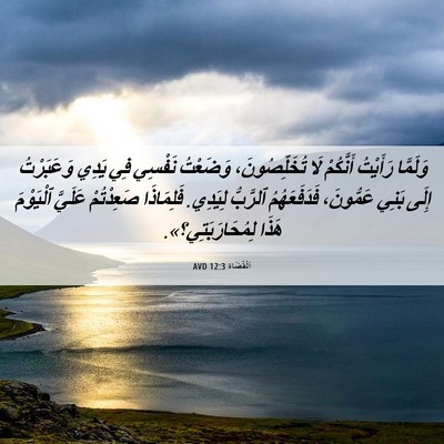 Picture 06 - اَلْقُضَاة 12:3 AVD - وَلَمَّا رَأَيْتُ - Bible Verse Picture