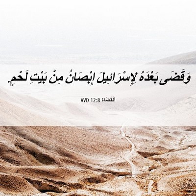 Picture 06 - اَلْقُضَاة 12:8 AVD - وَقَضَى بَعْدَهُ - Bible Verse Picture