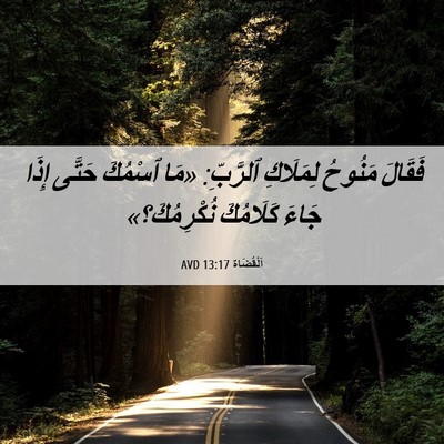 Picture 06 - اَلْقُضَاة 13:17 AVD - فَقَالَ مَنُوحُ لِمَلَاكِ - Bible Verse Picture