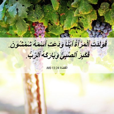 Picture 06 - اَلْقُضَاة 13:24 AVD - فَوَلَدَتِ ٱلْمَرْأَةُ - Bible Verse Picture