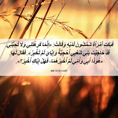 Picture 06 - اَلْقُضَاة 14:16 AVD - فَبَكَتِ ٱمْرَأَةُ - Bible Verse Picture