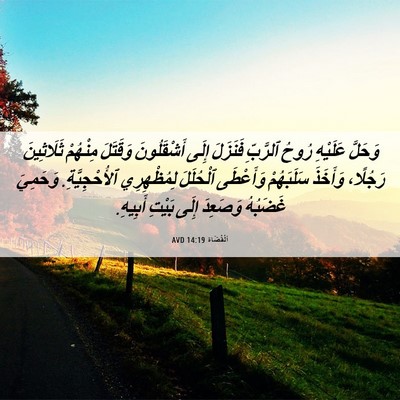 Picture 06 - اَلْقُضَاة 14:19 AVD - وَحَلَّ عَلَيْهِ رُوحُ - Bible Verse Picture