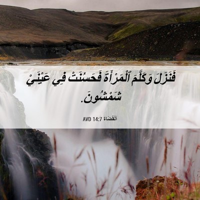 Picture 06 - اَلْقُضَاة 14:7 AVD - فَنَزَلَ وَكَلَّمَ - Bible Verse Picture