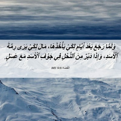 Picture 06 - اَلْقُضَاة 14:8 AVD - وَلَمَّا رَجَعَ بَعْدَ - Bible Verse Picture