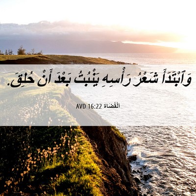 Picture 06 - اَلْقُضَاة 16:22 AVD - وَٱبْتَدَأَ شَعْرُ - Bible Verse Picture