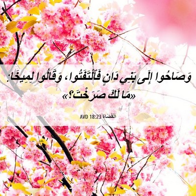 Picture 06 - اَلْقُضَاة 18:23 AVD - وَصَاحُوا إِلَى بَنِي - Bible Verse Picture