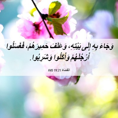 Picture 06 - اَلْقُضَاة 19:21 AVD - وَجَاءَ بِهِ إِلَى - Bible Verse Picture