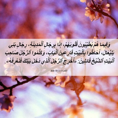 Picture 06 - اَلْقُضَاة 19:22 AVD - وَفِيمَا هُمْ - Bible Verse Picture