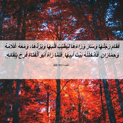 Picture 06 - اَلْقُضَاة 19:3 AVD - فَقَامَ رَجُلُهَا وَسَارَ - Bible Verse Picture