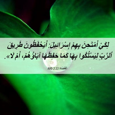 Picture 06 - اَلْقُضَاة 2:22 AVD - لِكَيْ أَمْتَحِنَ بِهِمْ - Bible Verse Picture