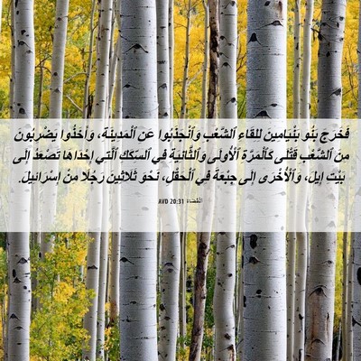 Picture 06 - اَلْقُضَاة 20:31 AVD - فَخَرَجَ بَنُو - Bible Verse Picture