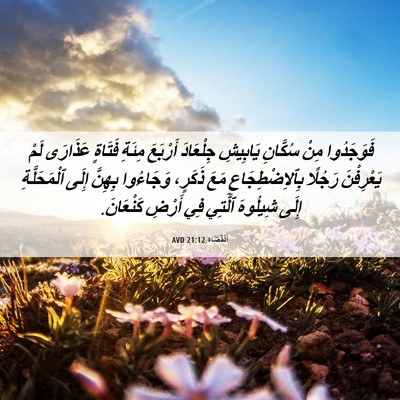 Picture 06 - اَلْقُضَاة 21:12 AVD - فَوَجَدُوا مِنْ سُكَّانِ - Bible Verse Picture