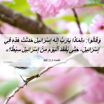 Picture 06 - اَلْقُضَاة 21:3 AVD - وَقَالُوا: «لِمَاذَا - Bible Verse Picture