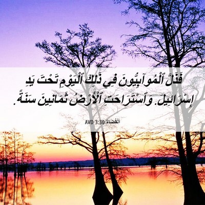 Picture 06 - اَلْقُضَاة 3:30 AVD - فَذَلَّ ٱلْمُوآبِيُّونَ - Bible Verse Picture
