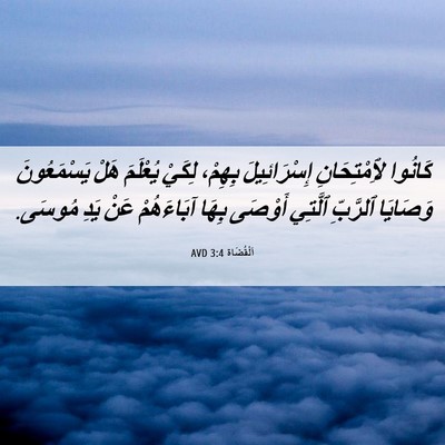 Picture 06 - اَلْقُضَاة 3:4 AVD - كَانُوا لِٱمْتِحَانِ - Bible Verse Picture
