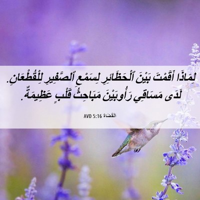 Picture 06 - اَلْقُضَاة 5:16 AVD - لِمَاذَا أَقَمْتَ بَيْنَ - Bible Verse Picture