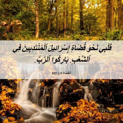 Picture 06 - اَلْقُضَاة 5:9 AVD - قَلْبِي نَحْوَ قُضَاةِ - Bible Verse Picture