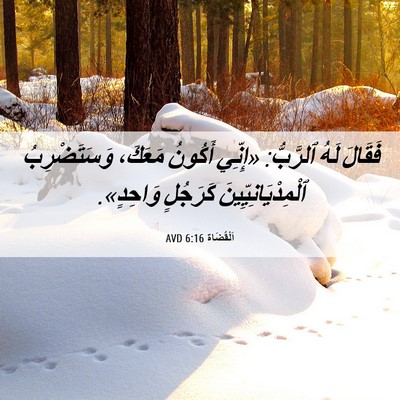 Picture 06 - اَلْقُضَاة 6:16 AVD - فَقَالَ لَهُ ٱلرَّبُّ: - Bible Verse Picture