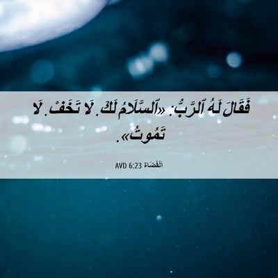 Picture 06 - اَلْقُضَاة 6:23 AVD - فَقَالَ لَهُ ٱلرَّبُّ: - Bible Verse Picture