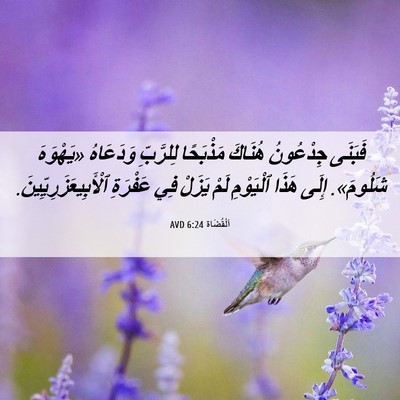 Picture 06 - اَلْقُضَاة 6:24 AVD - فَبَنَى جِدْعُونُ هُنَاكَ - Bible Verse Picture