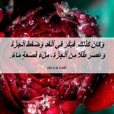 Picture 06 - اَلْقُضَاة 6:38 AVD - وَكَانَ كَذَلِكَ. - Bible Verse Picture