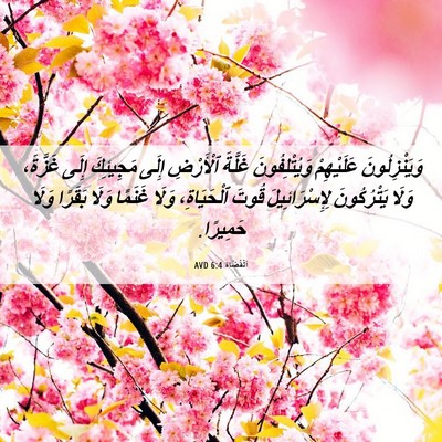Picture 06 - اَلْقُضَاة 6:4 AVD - وَيَنْزِلُونَ عَلَيْهِمْ - Bible Verse Picture