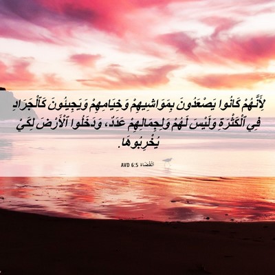 Picture 06 - اَلْقُضَاة 6:5 AVD - لِأَنَّهُمْ كَانُوا - Bible Verse Picture