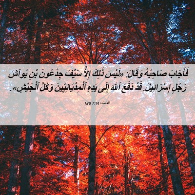 Picture 06 - اَلْقُضَاة 7:14 AVD - فَأَجَابَ صَاحِبُهُ - Bible Verse Picture