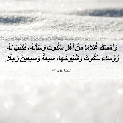Picture 06 - اَلْقُضَاة 8:14 AVD - وَأَمْسَكَ غُلَامًا مِنْ - Bible Verse Picture