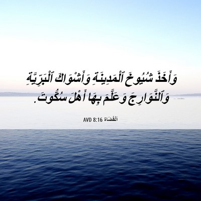 Picture 06 - اَلْقُضَاة 8:16 AVD - وَأَخَذَ شُيُوخَ - Bible Verse Picture