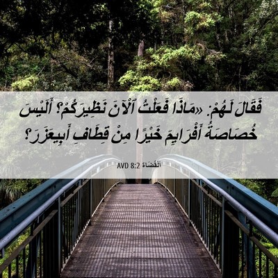 Picture 06 - اَلْقُضَاة 8:2 AVD - فَقَالَ لَهُمْ: «مَاذَا - Bible Verse Picture