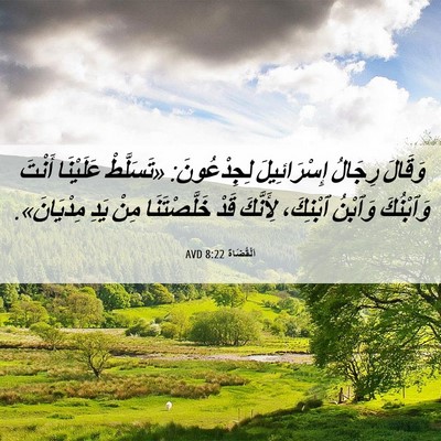Picture 06 - اَلْقُضَاة 8:22 AVD - وَقَالَ رِجَالُ - Bible Verse Picture