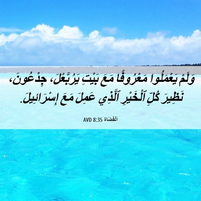 Picture 06 - اَلْقُضَاة 8:35 AVD - وَلَمْ يَعْمَلُوا - Bible Verse Picture