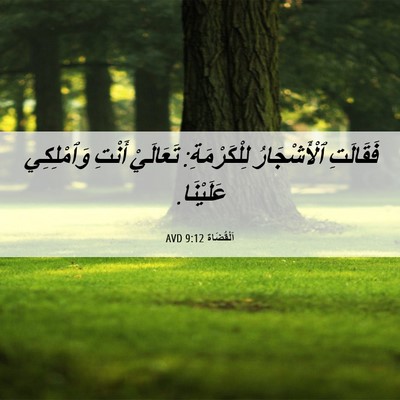 Picture 06 - اَلْقُضَاة 9:12 AVD - فَقَالَتِ ٱلْأَشْجَارُ - Bible Verse Picture