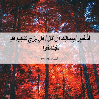 Picture 06 - اَلْقُضَاة 9:47 AVD - فَأُخْبِرَ أَبِيمَالِكُ - Bible Verse Picture
