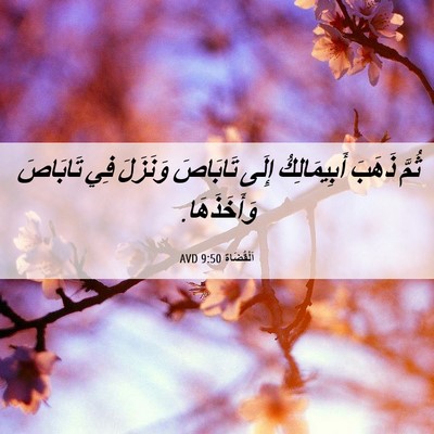 Picture 06 - اَلْقُضَاة 9:50 AVD - ثُمَّ ذَهَبَ أَبِيمَالِكُ - Bible Verse Picture