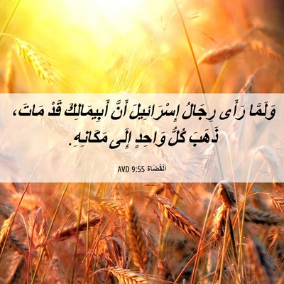 Picture 06 - اَلْقُضَاة 9:55 AVD - وَلَمَّا رَأَى رِجَالُ - Bible Verse Picture