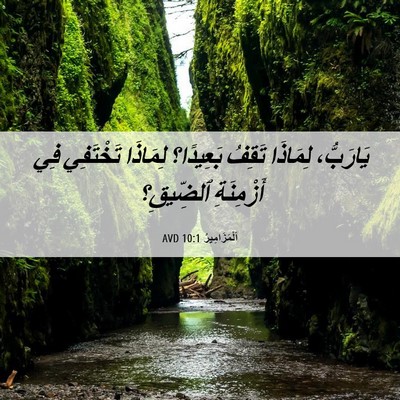 Picture 06 - اَلْمَزَامِيرُ 10:1 AVD - يَارَبُّ، لِمَاذَا تَقِفُ - Bible Verse Picture