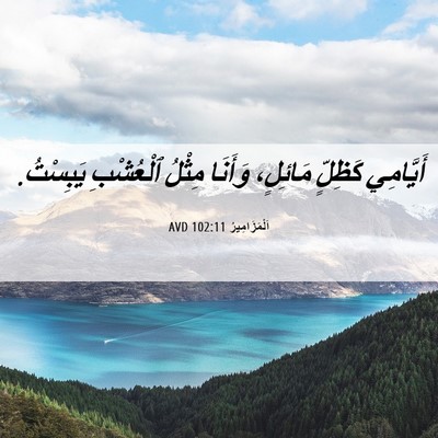 Picture 06 - اَلْمَزَامِيرُ 102:11 AVD - أَيَّامِي كَظِلٍّ - Bible Verse Picture