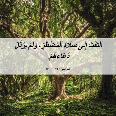Picture 06 - اَلْمَزَامِيرُ 102:17 AVD - ٱلْتَفَتَ إِلَى صَلَاةِ - Bible Verse Picture