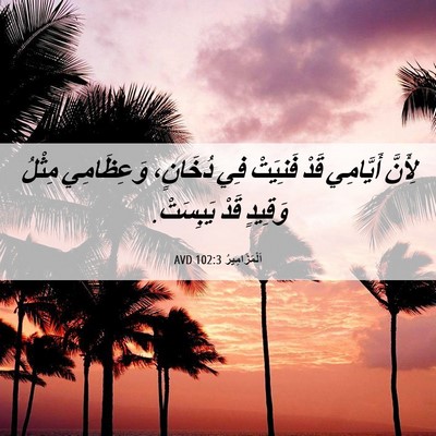 Picture 06 - اَلْمَزَامِيرُ 102:3 AVD - لِأَنَّ أَيَّامِي قَدْ - Bible Verse Picture