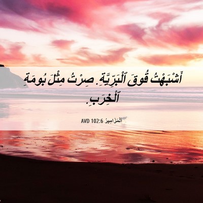 Picture 06 - اَلْمَزَامِيرُ 102:6 AVD - أَشْبَهْتُ قُوقَ - Bible Verse Picture