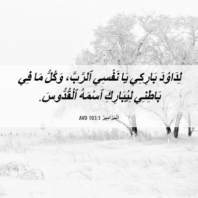 Picture 06 - اَلْمَزَامِيرُ 103:1 AVD - لِدَاوُدَ بَارِكِي يَا - Bible Verse Picture