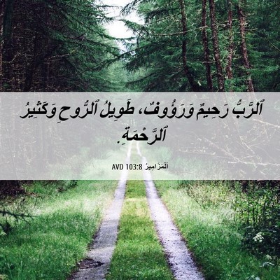 Picture 06 - اَلْمَزَامِيرُ 103:8 AVD - ٱلرَّبُّ رَحِيمٌ - Bible Verse Picture