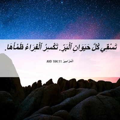 Picture 06 - اَلْمَزَامِيرُ 104:11 AVD - تَسْقِي كُلَّ حَيَوَانِ - Bible Verse Picture