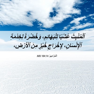Picture 06 - اَلْمَزَامِيرُ 104:14 AVD - ٱلْمُنْبِتُ عُشْبًا - Bible Verse Picture